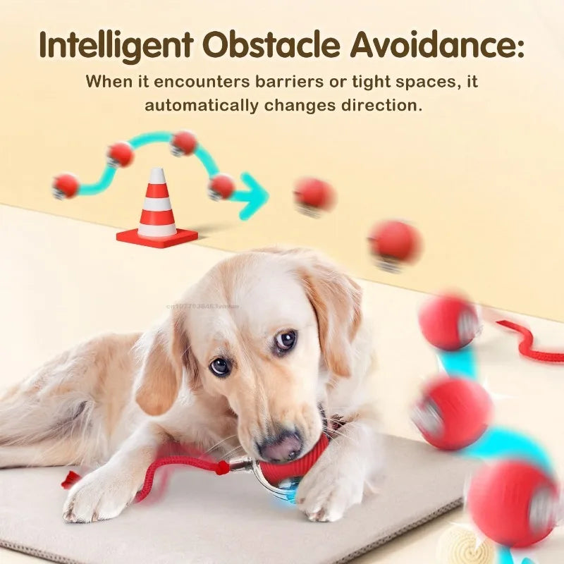 Interactive Self-Moving Cat Ball Toy